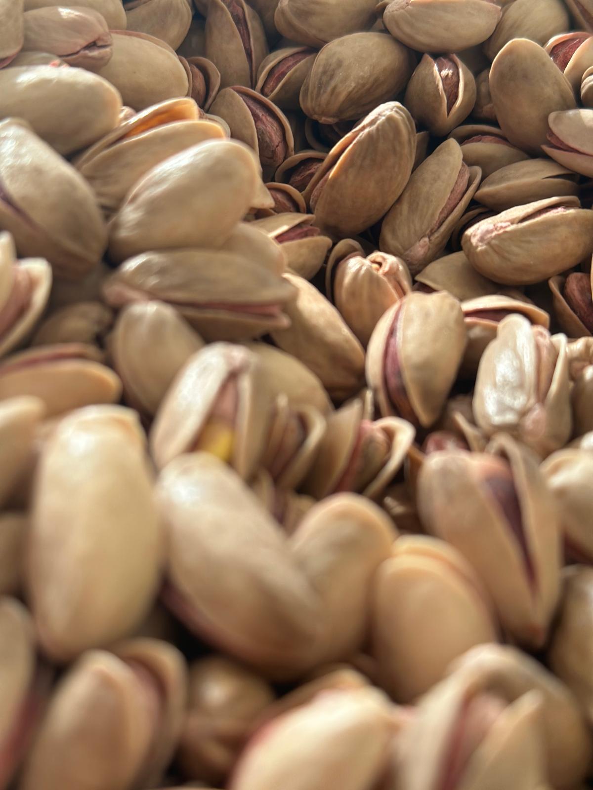 karakecili-fistikcilik-fotograflar (13) karakecili-fistikcilik-fotograflar (13)