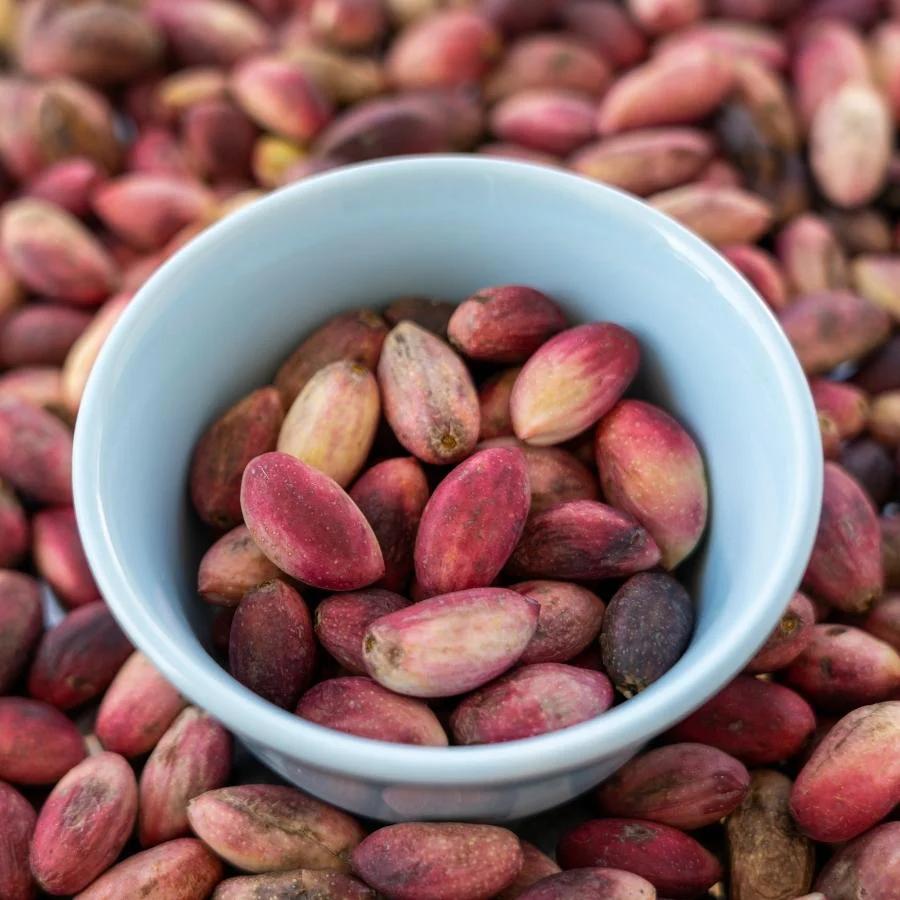 karakecili-fistikcilik-fotograflar (6) karakecili-fistikcilik-fotograflar (6)